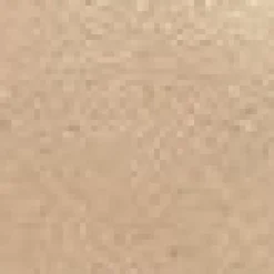 SISU